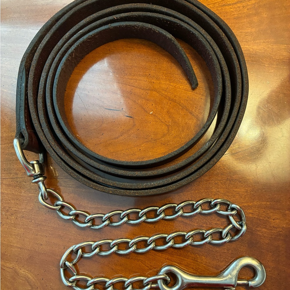 Premium Leather Showmanship Halter Equestrian Lead for Showing or Everyday Use